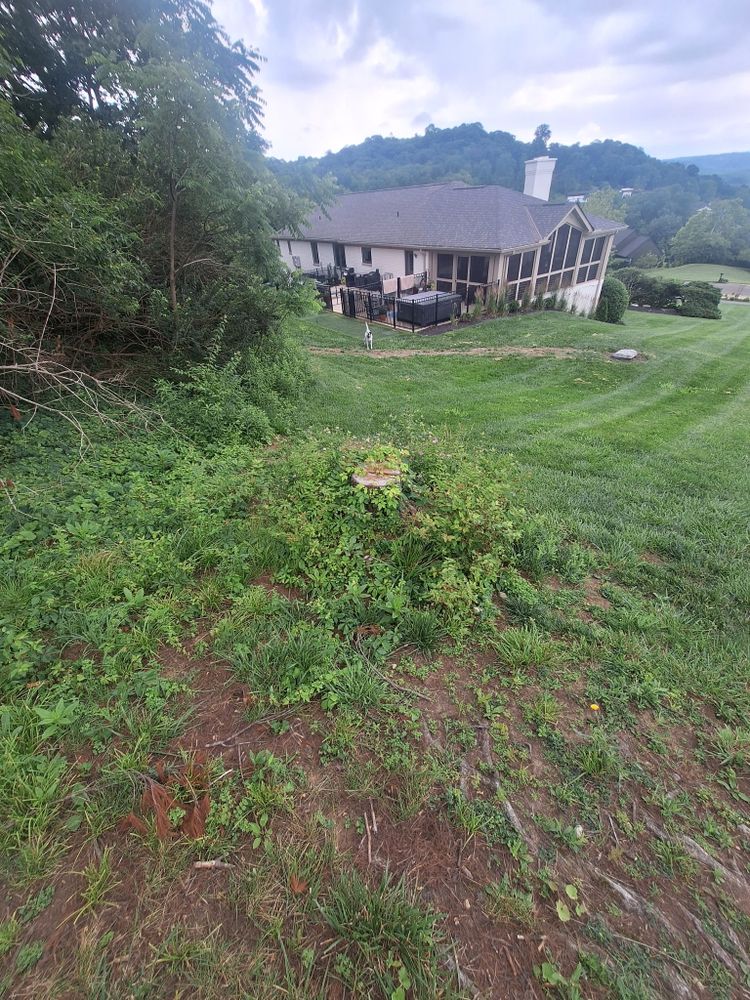 All Photos for Cincinnati’s Finest Landscape Services LLC in Cincinnati, OH
