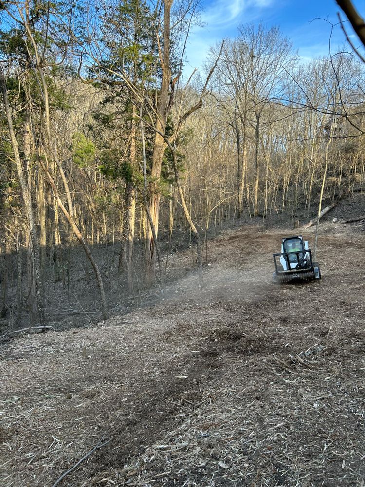 Land Clearing for Z's Land Management & Forestry Mulching in Smithville, TN