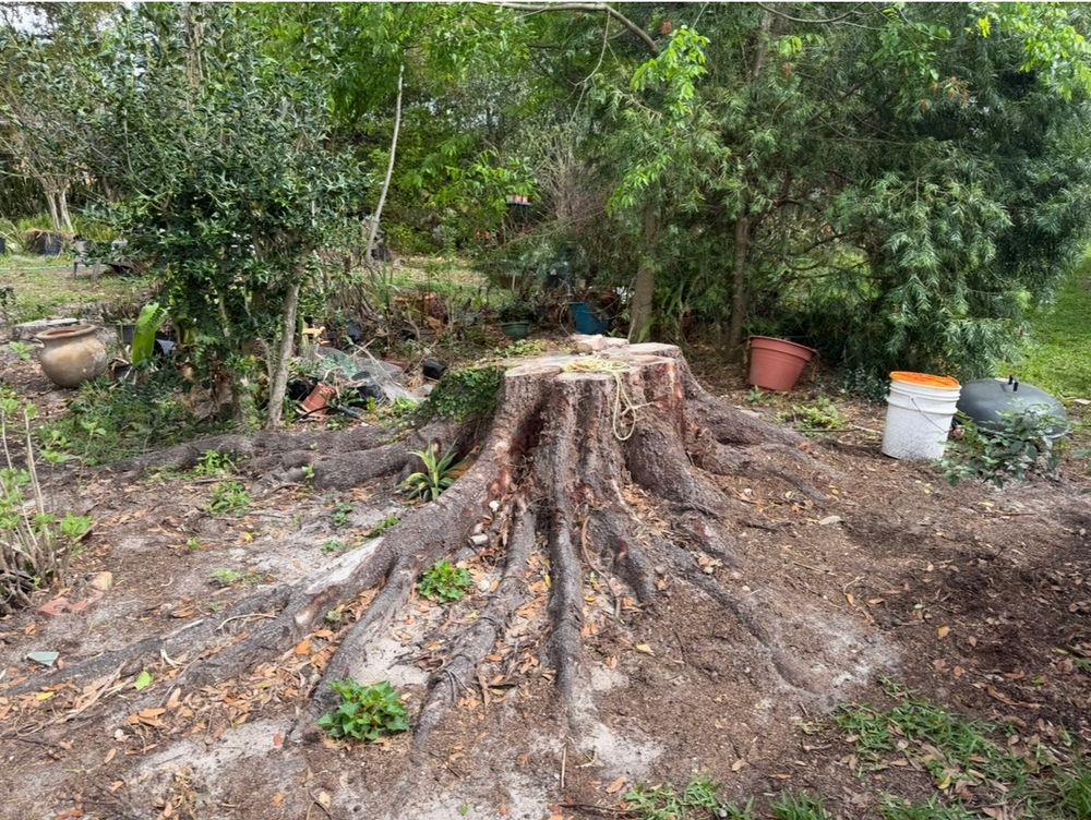 All Photos for Greene Acres Stump Grinding in Plant City, FL