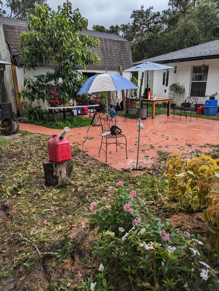 All Photos for Regal Tree Service and Stump Grinding in Wauchula, FL