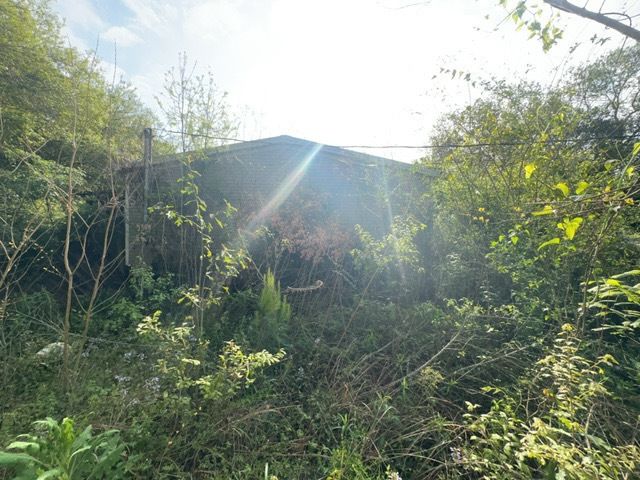 Tree Cleanup  for D&D Services of Pensacola in Pensacola, FL