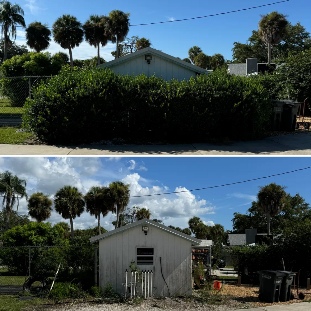 All Photos for Lemon Bay Tree Service  in Englewood, FL