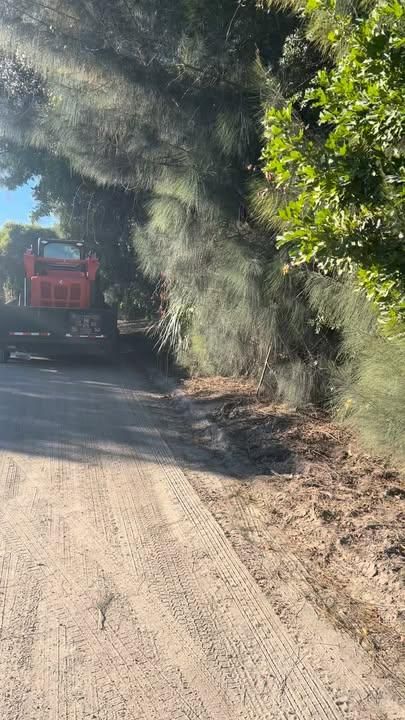 All Photos for Lawn Caring Guys in Cape Coral, FL