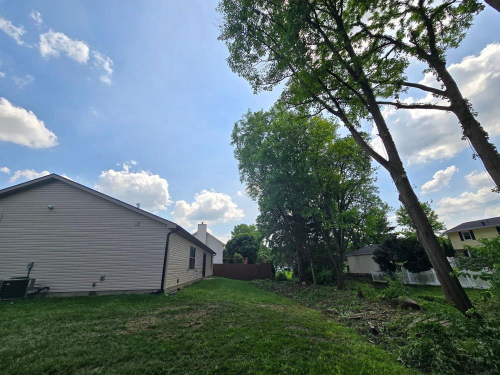 All Photos for F & F Tree Service in Beavercreek, OH