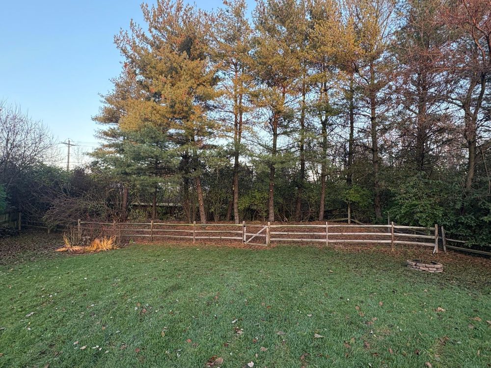 All Photos for Dig-It Tree Company in Mason, OH