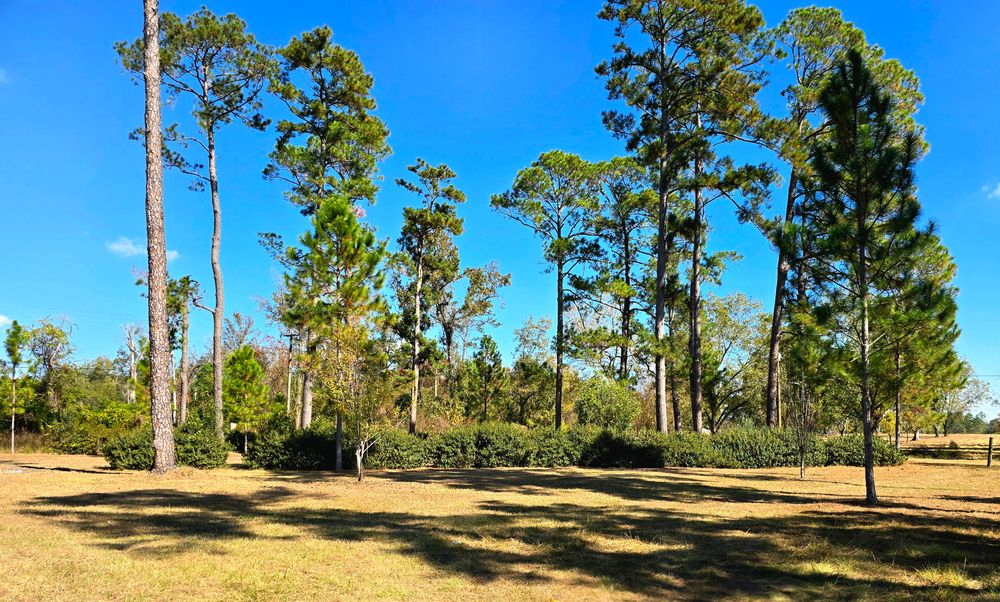 All Photos for Giles Land Management, LLC in Hahira, GA