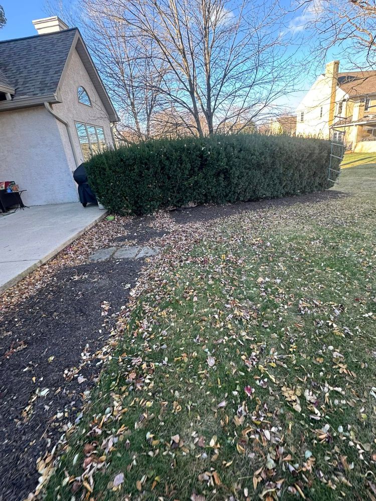 Our shrub trimming service enhances your home's curb appeal by expertly shaping and maintaining healthy shrubs, ensuring a tidy appearance year-round while promoting optimal growth and plant health. for Landscape & Lawn Care Pros in Temple, PA