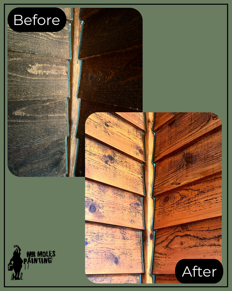 All Photos for Mr. Mole's Painting in Bemidji, MN