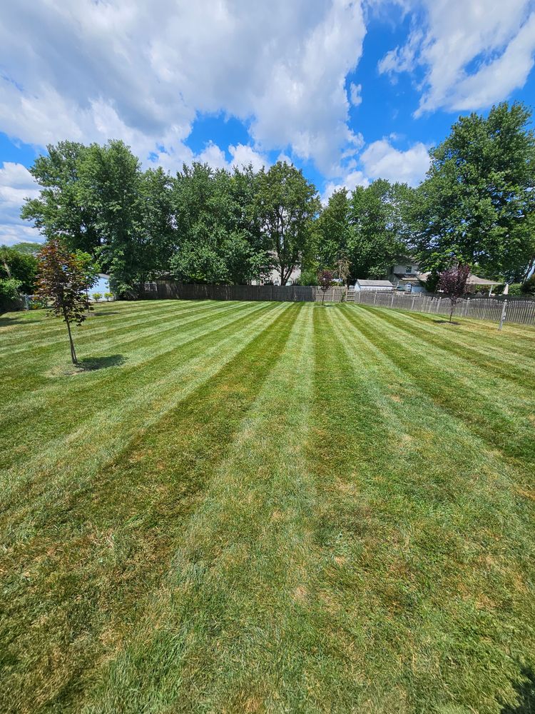 All Photos for DBs Lawn Care in Westampton Township, New Jersey