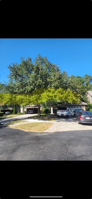 All Photos for Hawkins Tree Service & Land Management in Richmond Hill, GA