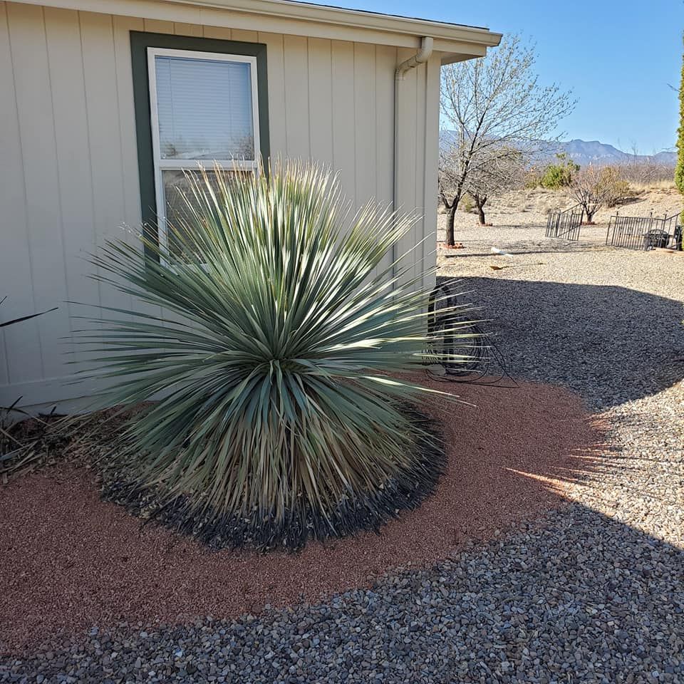 Tree Removal for A to Z Grounds Keeping in Sierra Vista, AZ