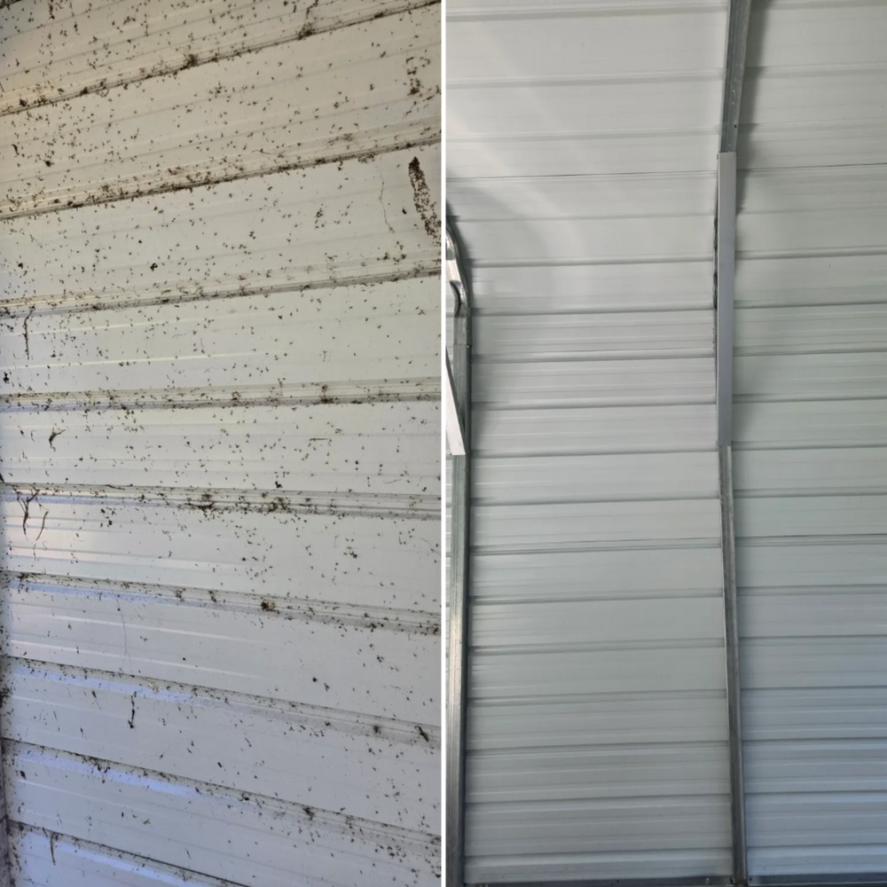 All Photos for Above the Lawn Cuts and Pressure Washing in Sebring, FL