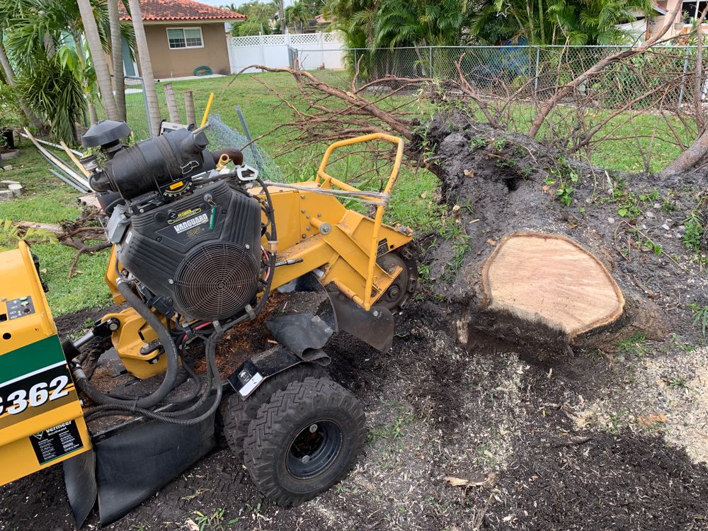 Disaster for Sam's Tree Service in Miami Beach,  FL