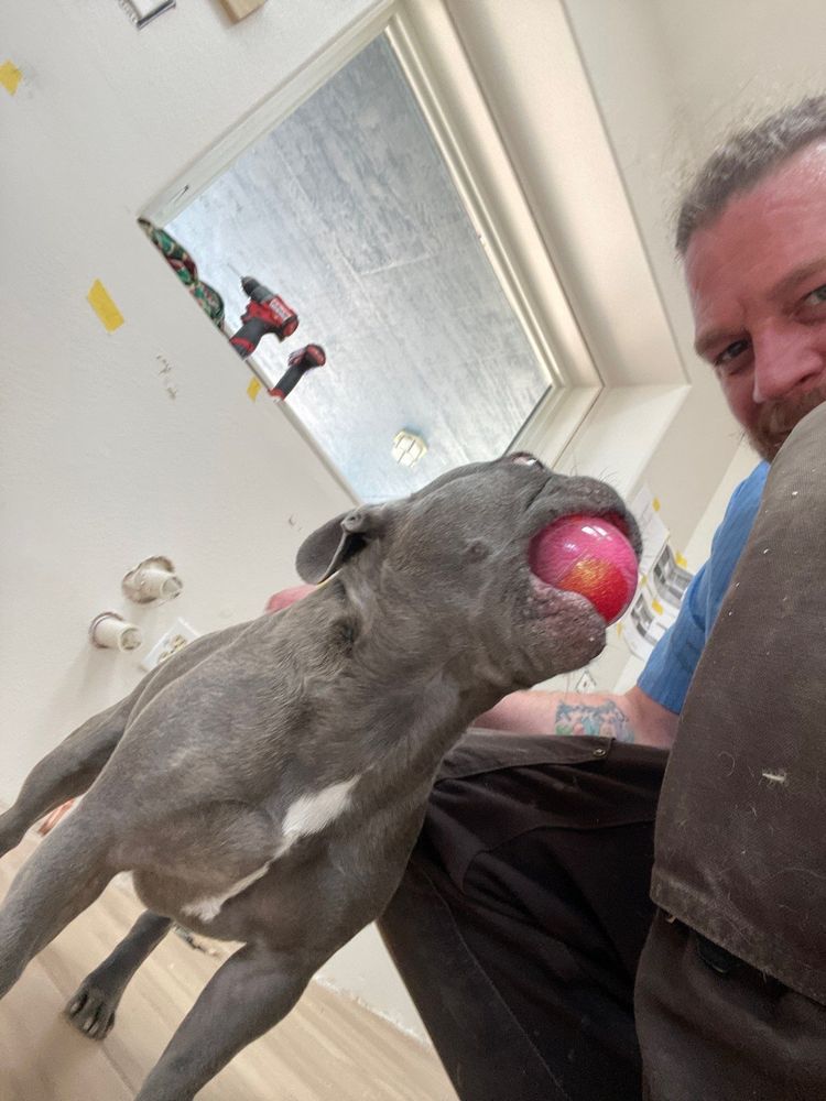 It's really about the pets we meet along the way... for Mr. Pipe Dreams LLC in Colorado Springs, CO