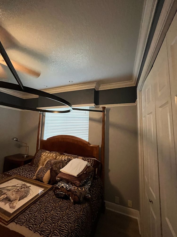 All Photos for Escorpio Painting in Tampa, FL