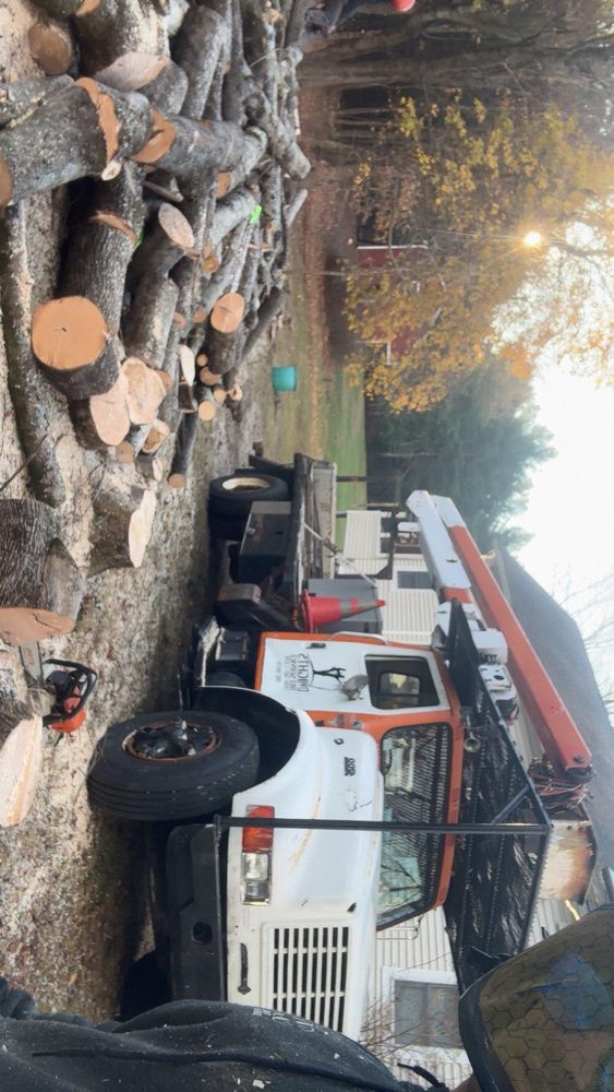 All Photos for Dwights Tree Service in Middleborough, MA