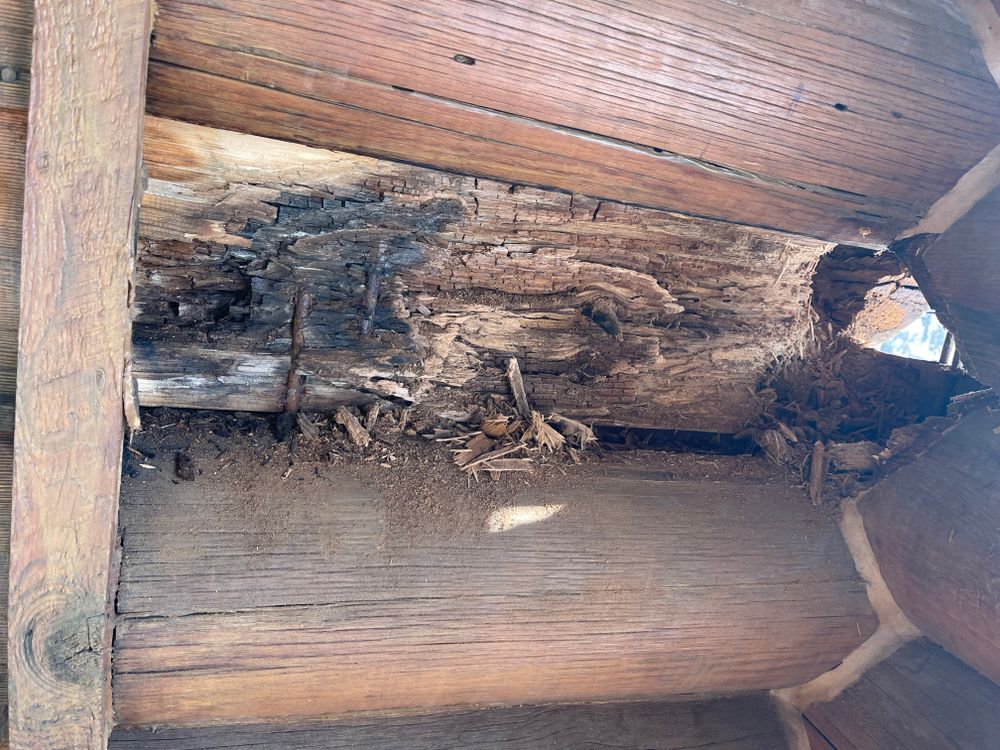 All Photos for Wild West Log home specialists in Corvallis, MT