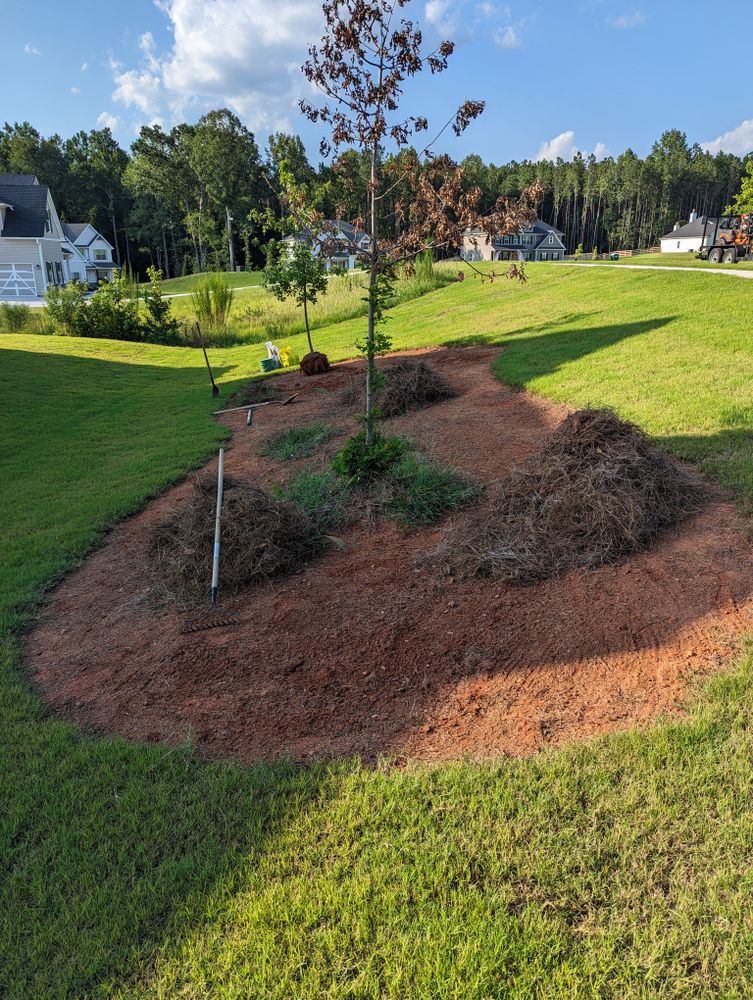 All Photos for Fantastic Lawn Care LLC in Fayetteville, GA