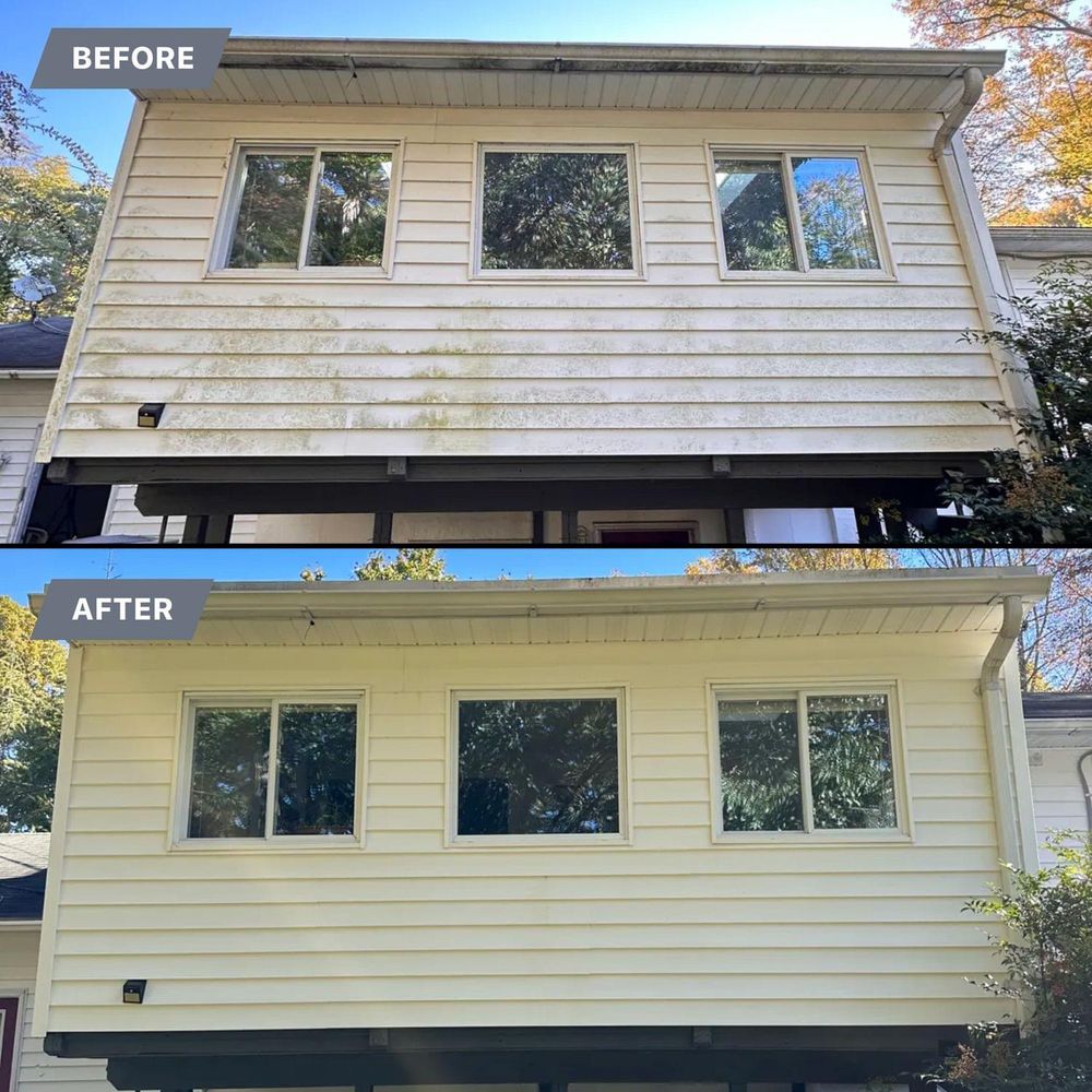 All Photos for LeafTide Solutions in Richmond, VA