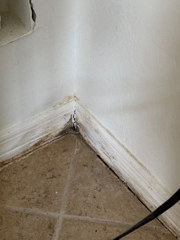 All Photos for N&D Restoration Services: When Disaster Strikes, We Come In in Cape Coral,  FL