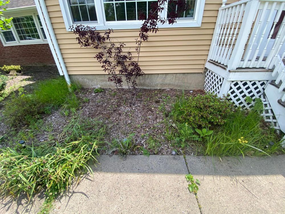 All Photos for Ace Landscaping in Trumbull, CT