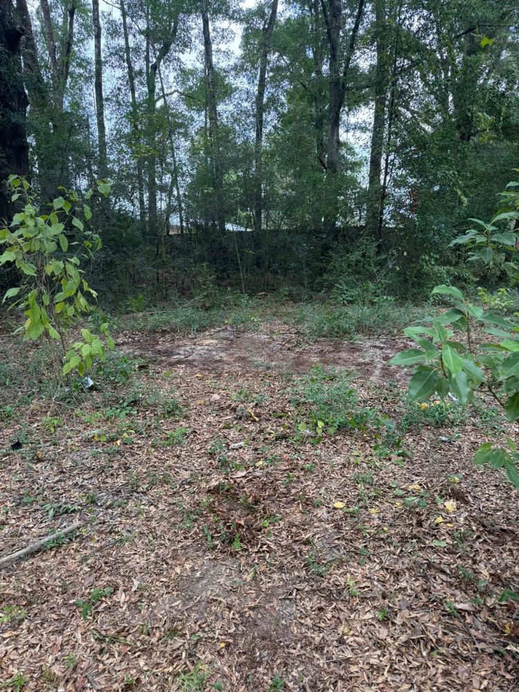 All Photos for Zip Junk Removal in Santa Rosa Beach, FL