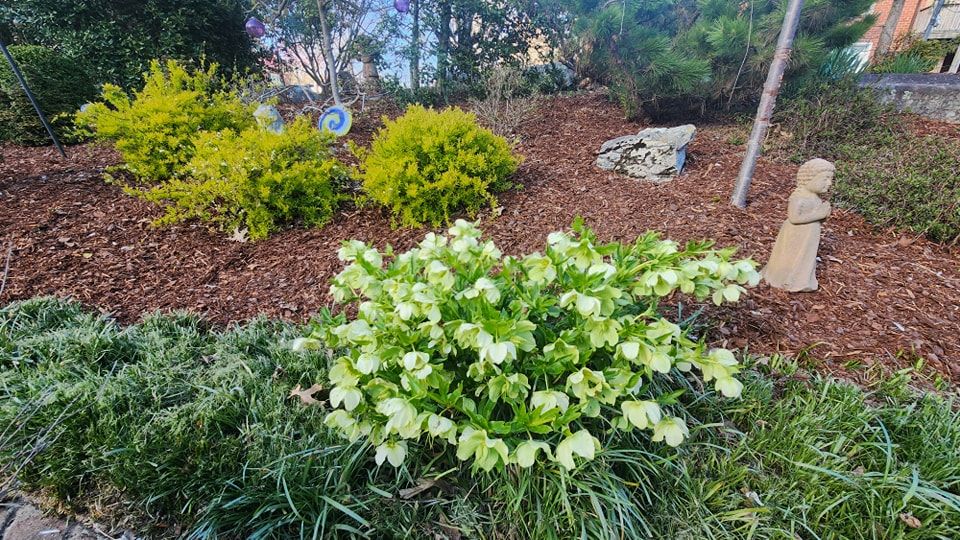 All Photos for Simply Natural Landscape in Abingdon, VA