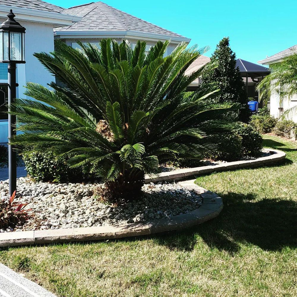 All Photos for TopNotch Landscaping Services  in The Villages, FL