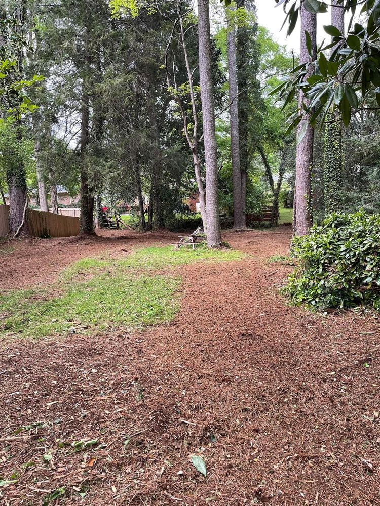 Land Clearing for G&H Forestry Mulching and Land Services in Fayetteville, GA