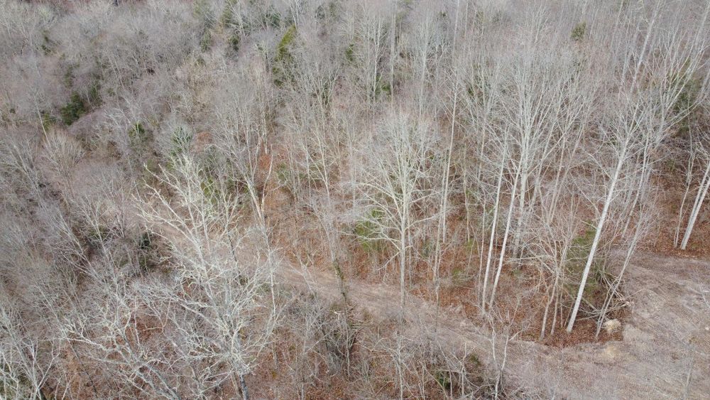 All Photos for Excavation Innovations in Rogersville, TN