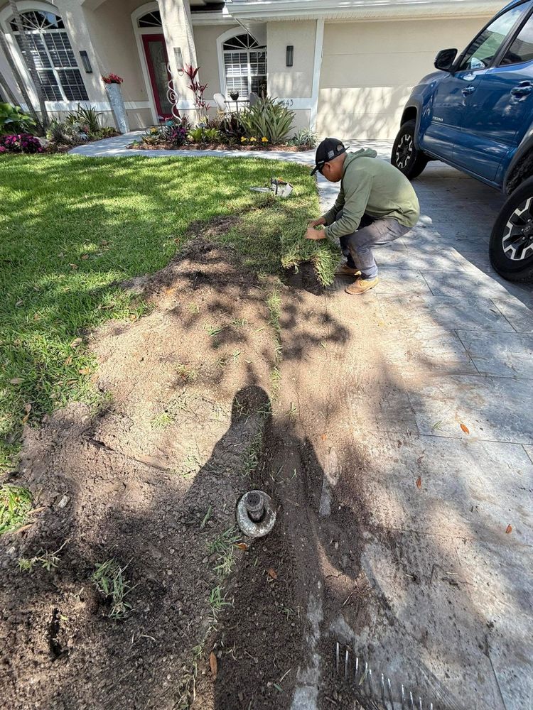 Tree Removal for MX Trees LLC in Englewood, FL