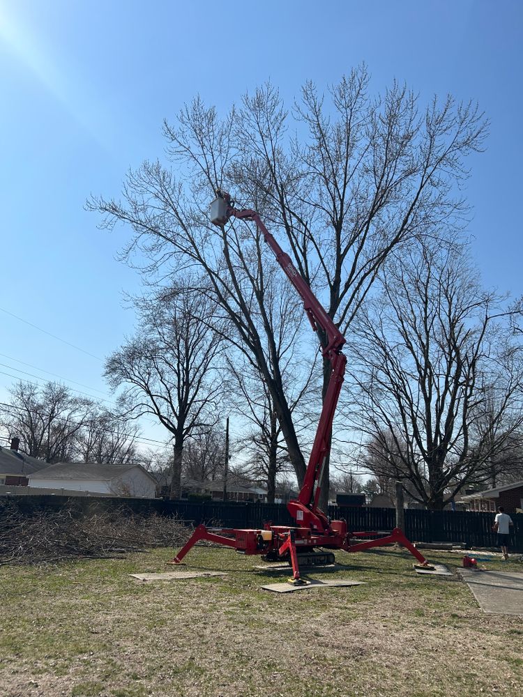 All Photos for SMITHs Tree Service in Columbus, IN