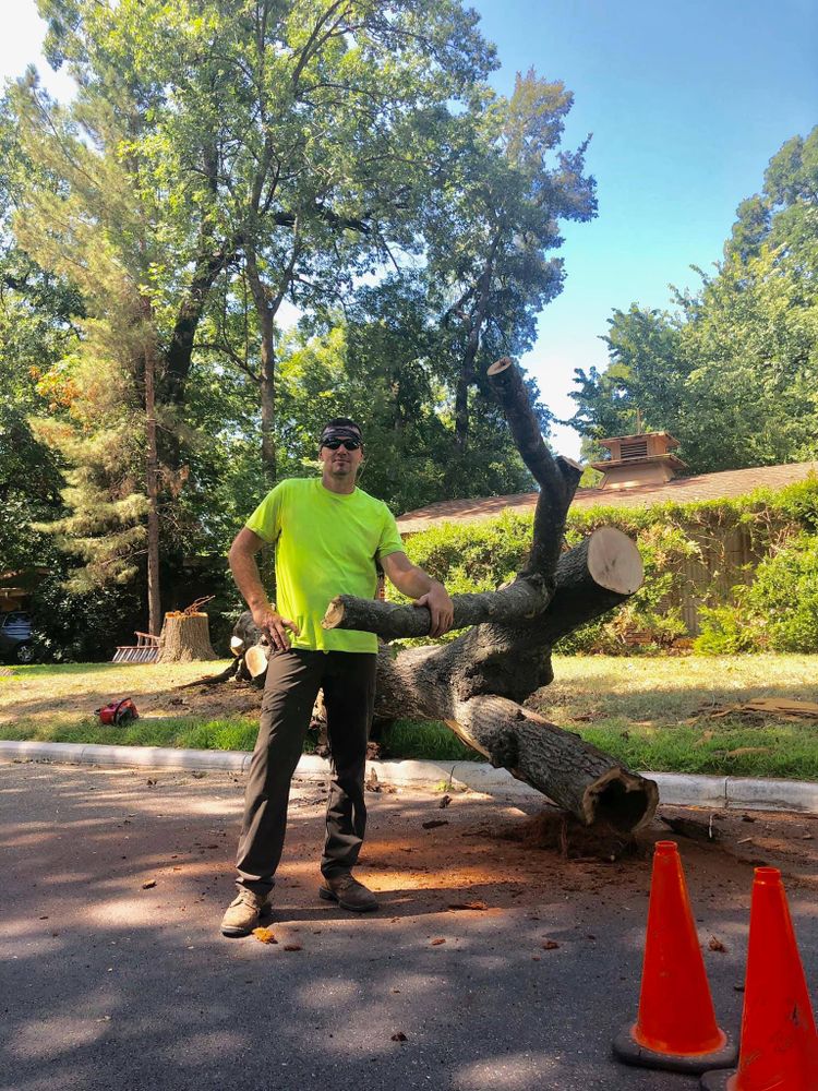TLC Professional Tree Service team in Fort Worth, TX - people or person