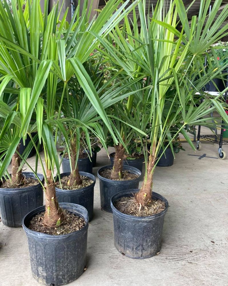 All Photos for S&R Landscaping and Nursery in Charlotte, NC
