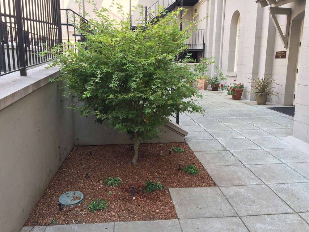 Our irrigation and drip systems plus drainage service installs, repairs, and optimizes every irrigation system to deliver healthy landscapes, conserve water, prevent runoff, and protect your home’s foundation. for Blue Water Landscape Services in El Dorado Hills, CA