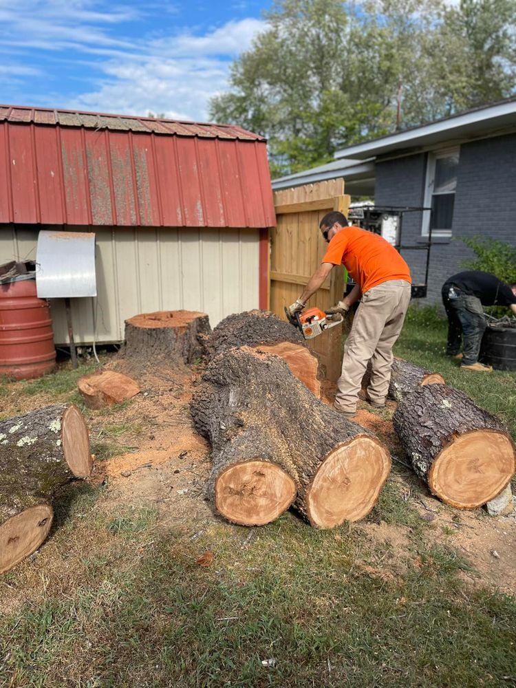 Our professional tree removal service is trusted by homeowners for safe and efficient removal of unwanted trees. Ensure your property's safety and aesthetics with our expert team at your service. for Ross Family Tree Service LLC  in Hohenwald, TN