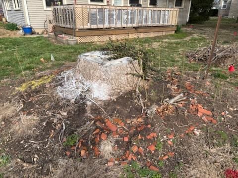 All Photos for Conrad's Stump Removal in Columbus, IN