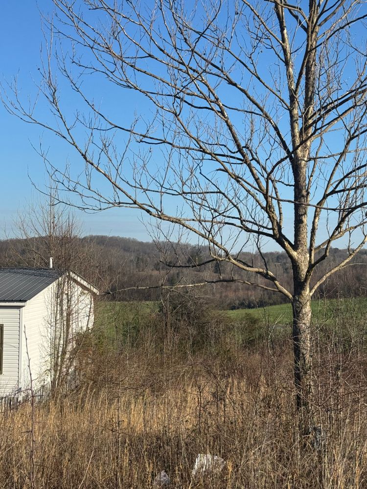 All Photos for Miller Farms Hay & Land Management in Knoxville, TN