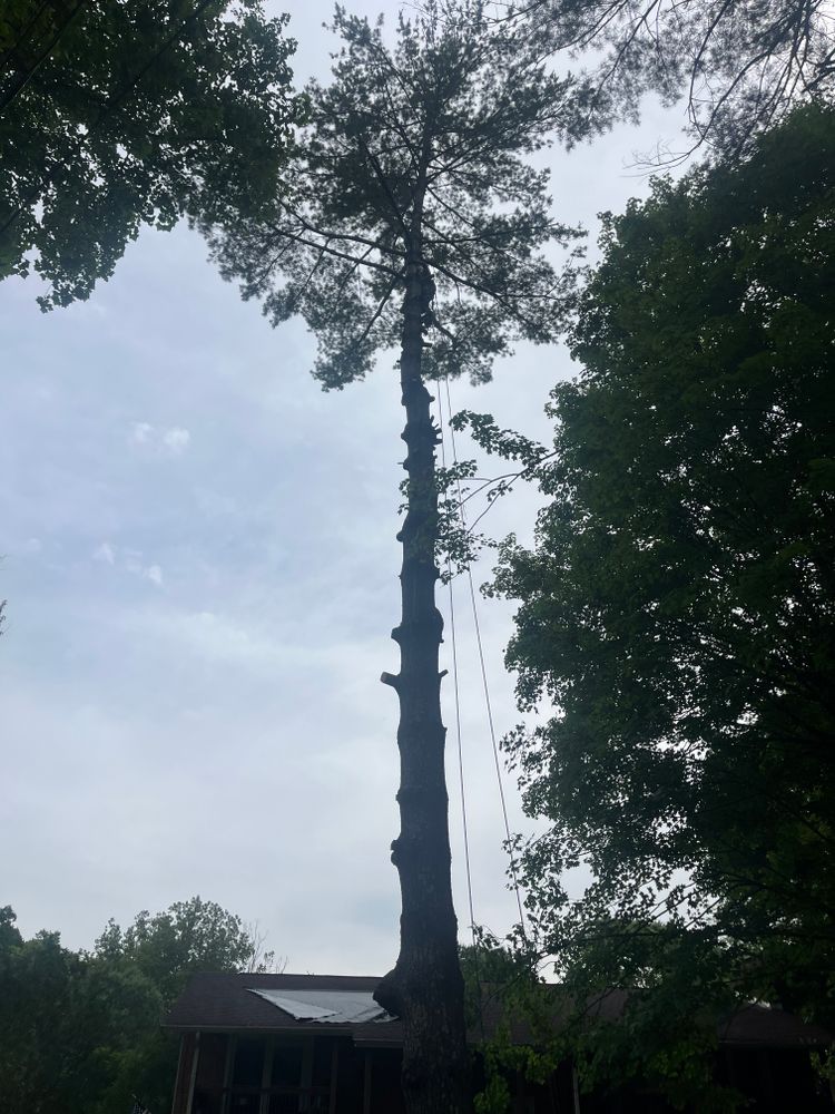 All Photos for Taylors Enterprises in Johnson City, TN