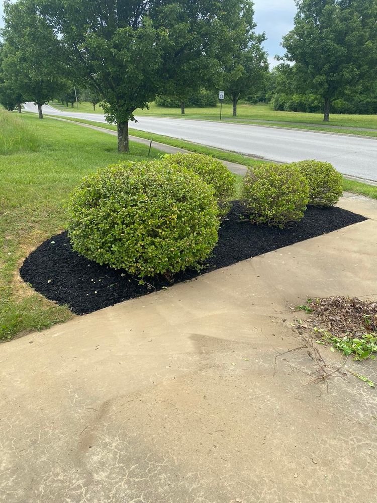 Lawn and Landscape for JKL Lawn Service in Frankfort, KY
