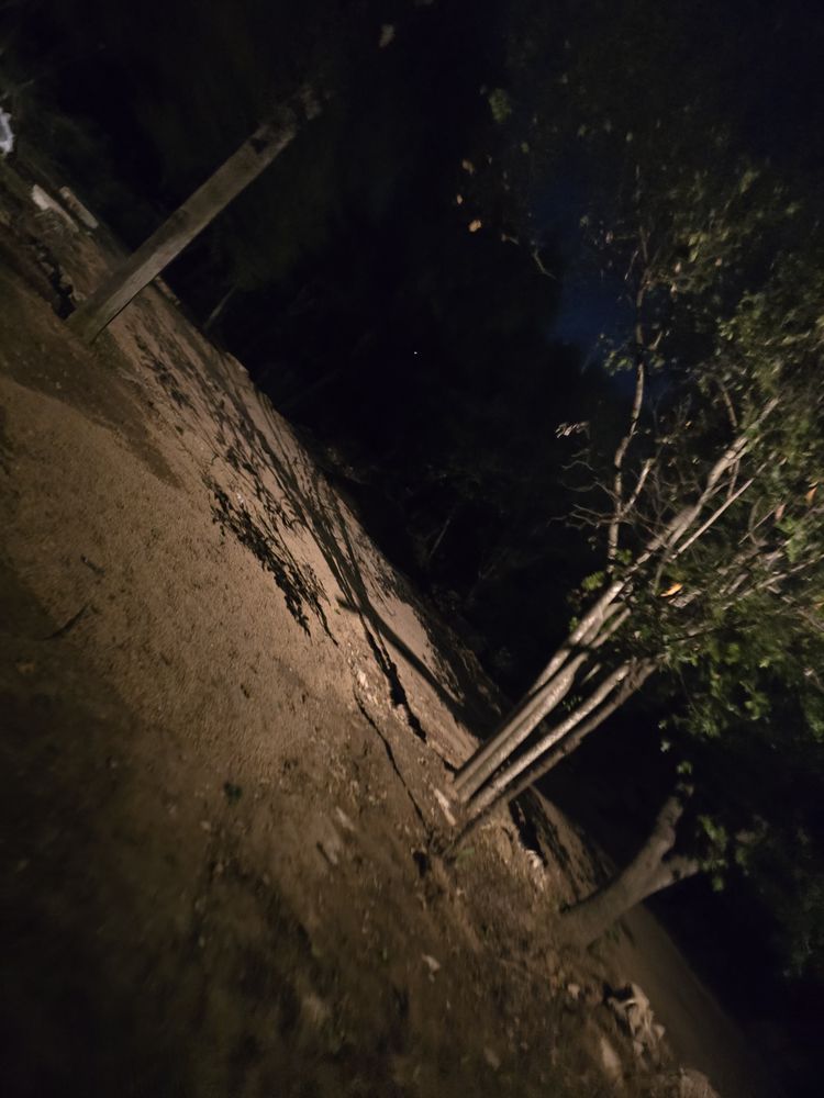 All Photos for Green Pastures Lawn Care in Bastrop, TX