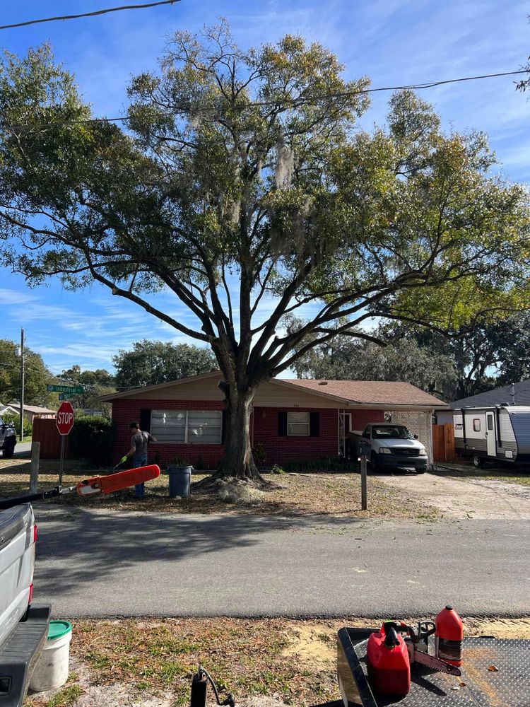 Lawn Maintenance for Duck's Lawn & Tree Service, LLC. in Lakeland, FL