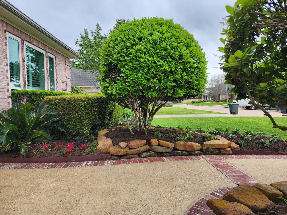 Landscaping for Bruno's Professional Lawn's & Landscape in Beaumont, Texas