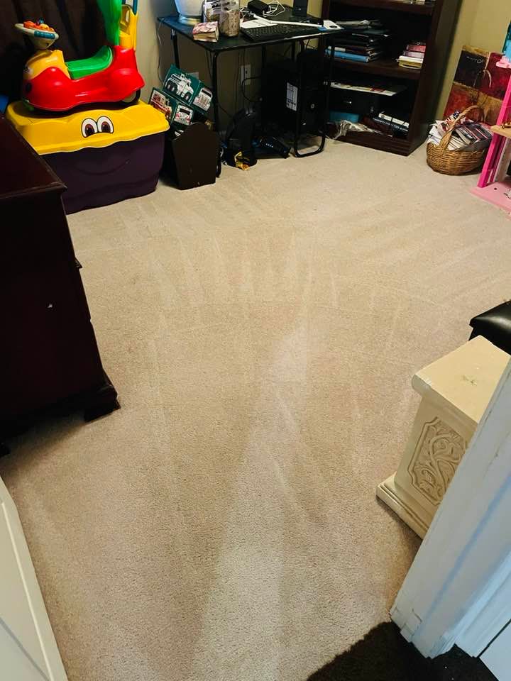 All Photos for Stain X Carpet Cleaning in Jacksonville, FL