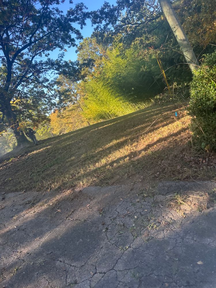 All Photos for J.P Landscaping and excavation in Chattanooga, TN