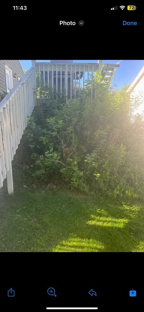 All Photos for Licensed to Cut Tree Service in Athens, PA