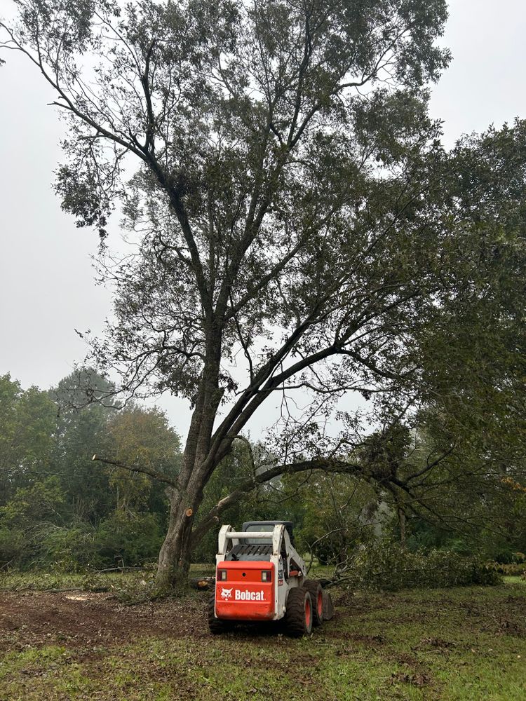 All Photos for Alvarez Landscape & Hardscape Service in Rock Hill, SC