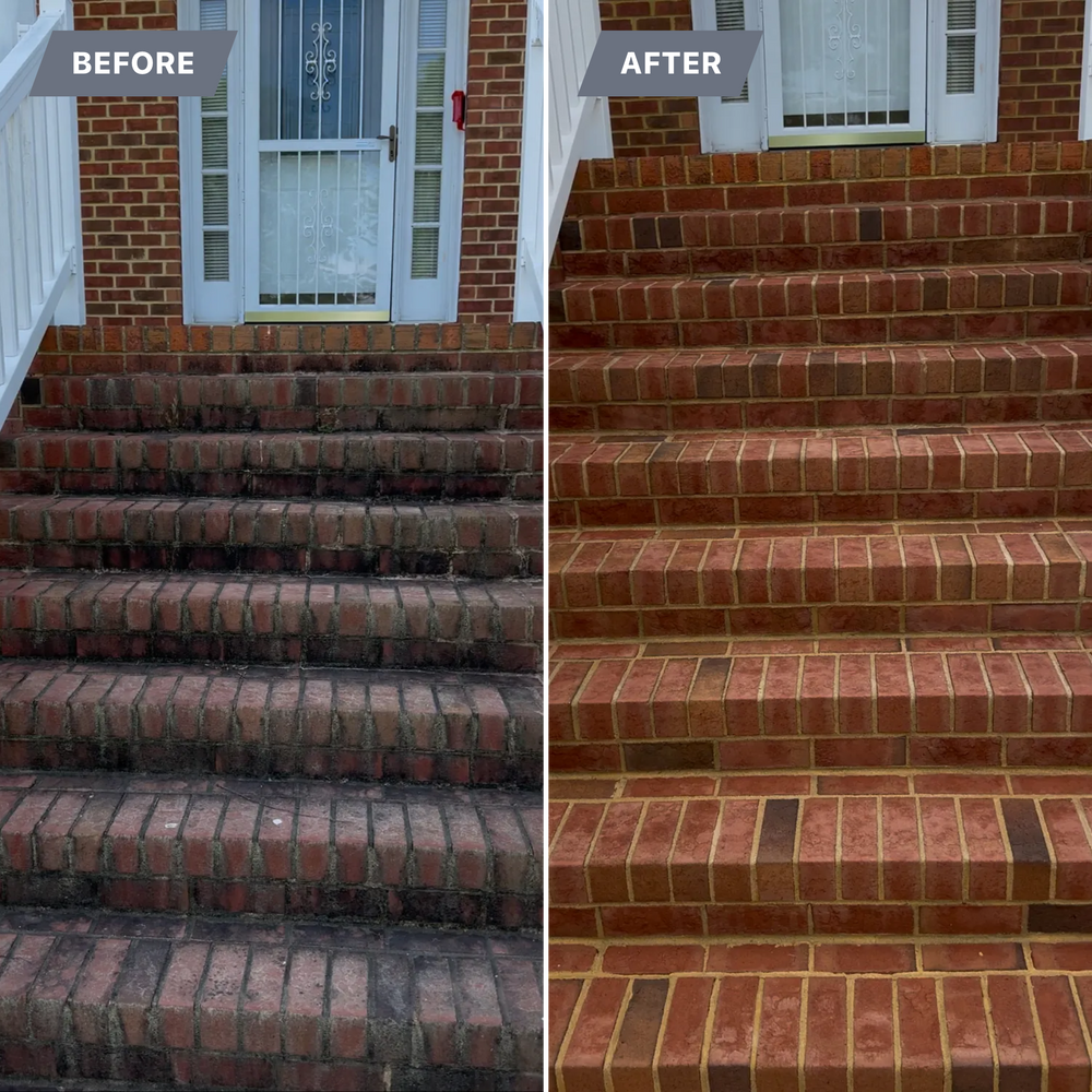 All Photos for LeafTide Solutions in Richmond, VA