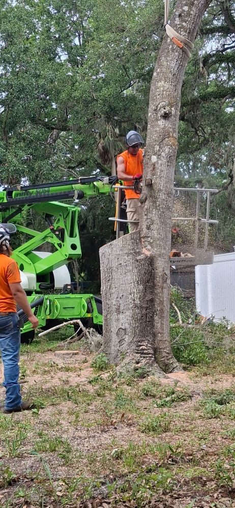 All Photos for Daniel Hickey’s Tree Service in DeLand, FL