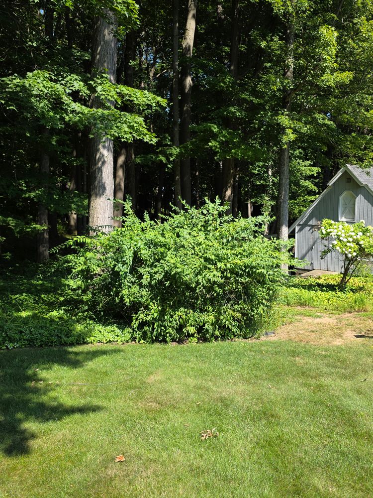 All Photos for Sweet Scapes in Ballston Spa, NY